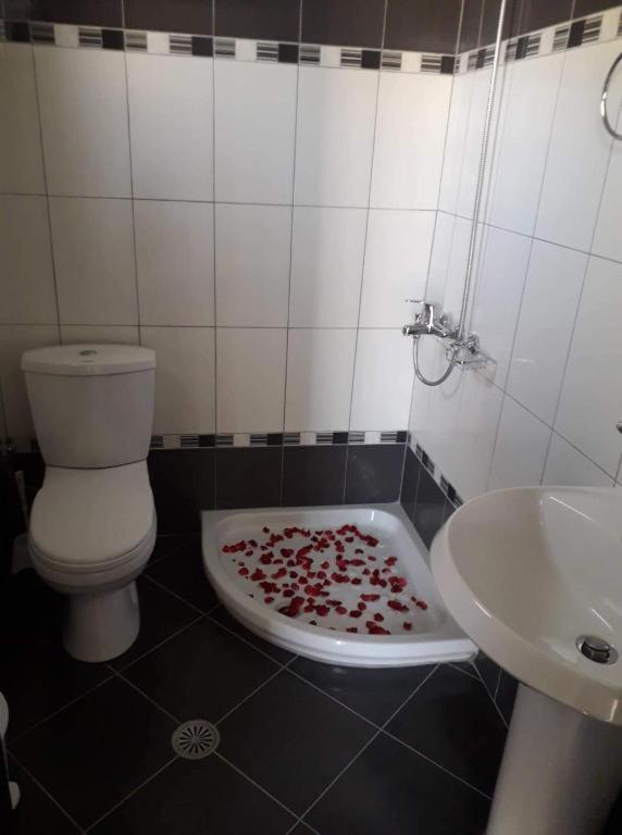 Apartments Orkidea Ksamil Dış mekan fotoğraf
